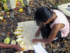 Amélioration des cacaos dans le Sambirano