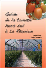 Guide de la tomate hors sol à La Réunion